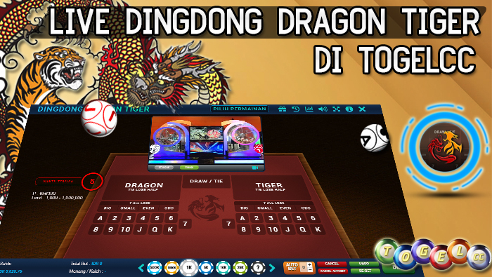 Live Dingdong Dragon Tiger